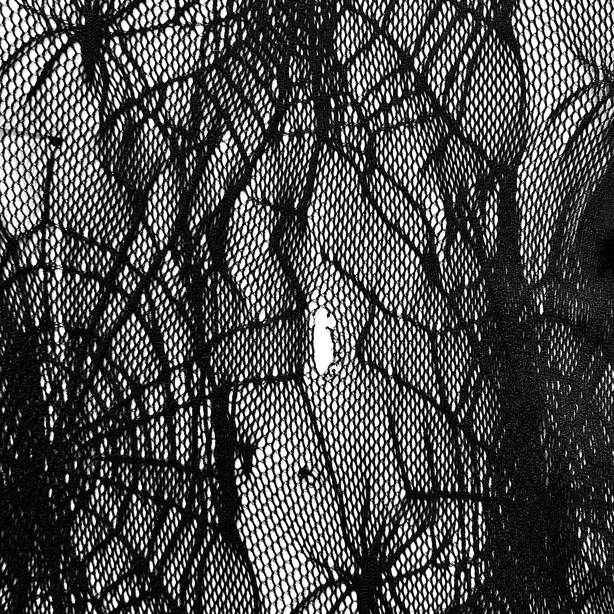 The image is a close-up of a black and white lace pattern, featuring intricate and detailed designs.