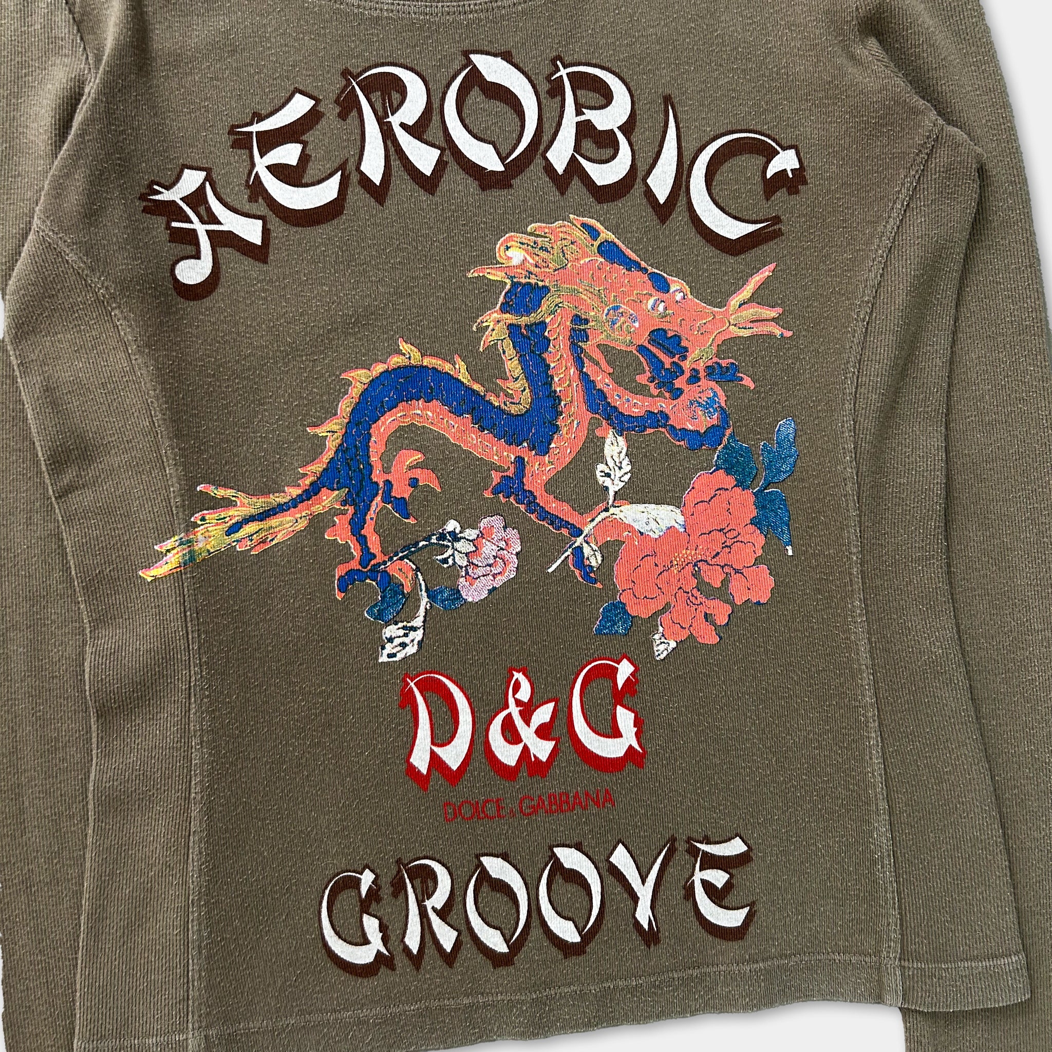 a grey long-sleeved shirt with a large dragon design and floral elements. The text on the shirt reads "AEROBIC", "D&G", and "GROOEYE".