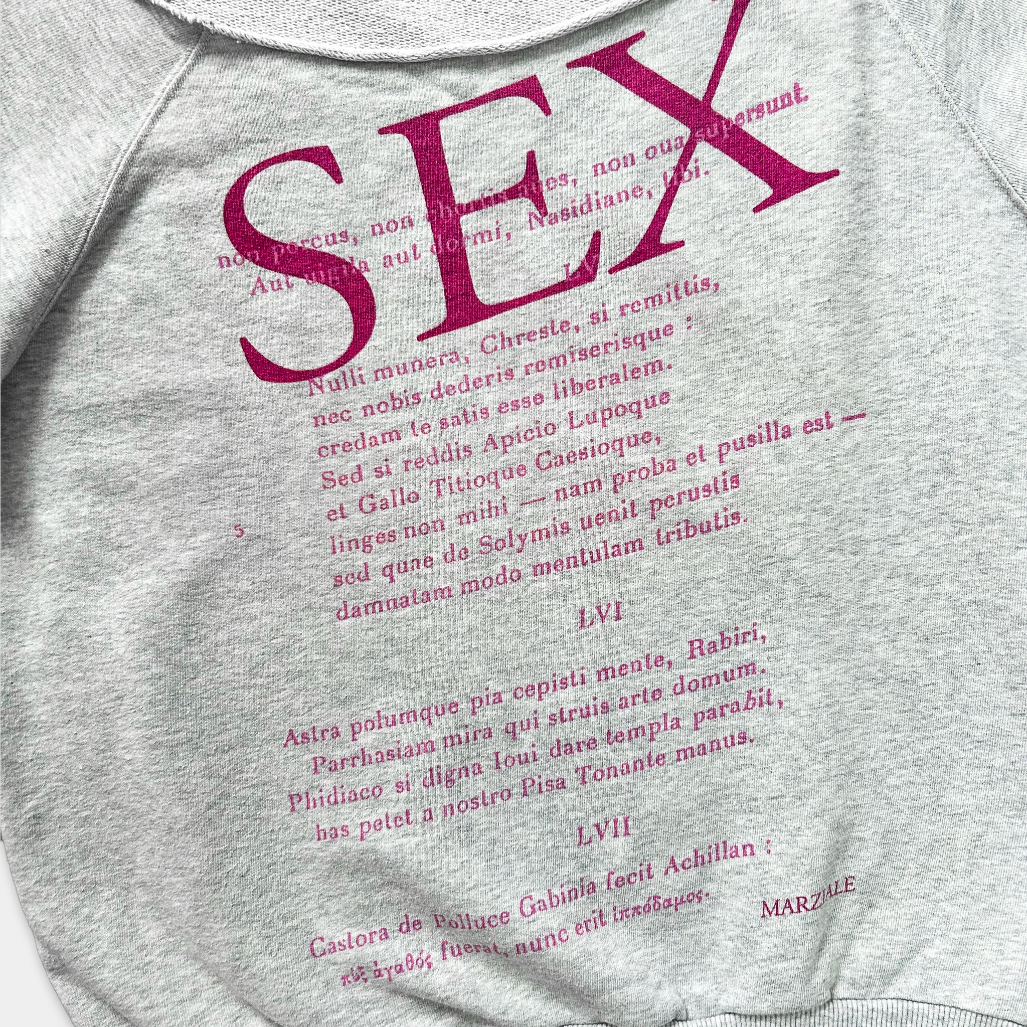 a grey sweatshirt with a large pink text logo that reads "SEX" in all capital letters. The text is in a foreign language and appears to be a definition or explanation of the term "SEX" in that language.