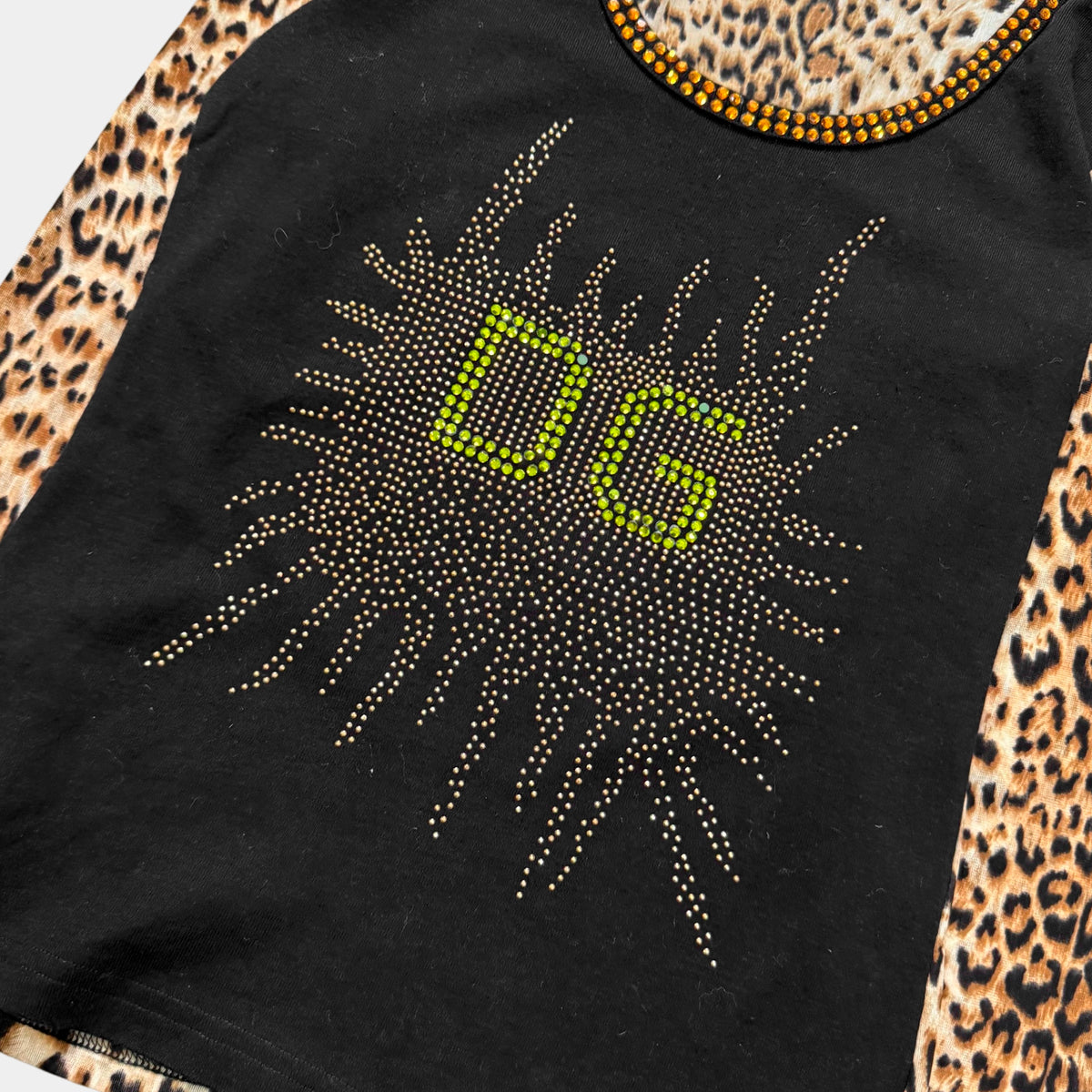 Dolce & Gabbana 2000s Leopard Rhinestone Long Sleeve T-shirt