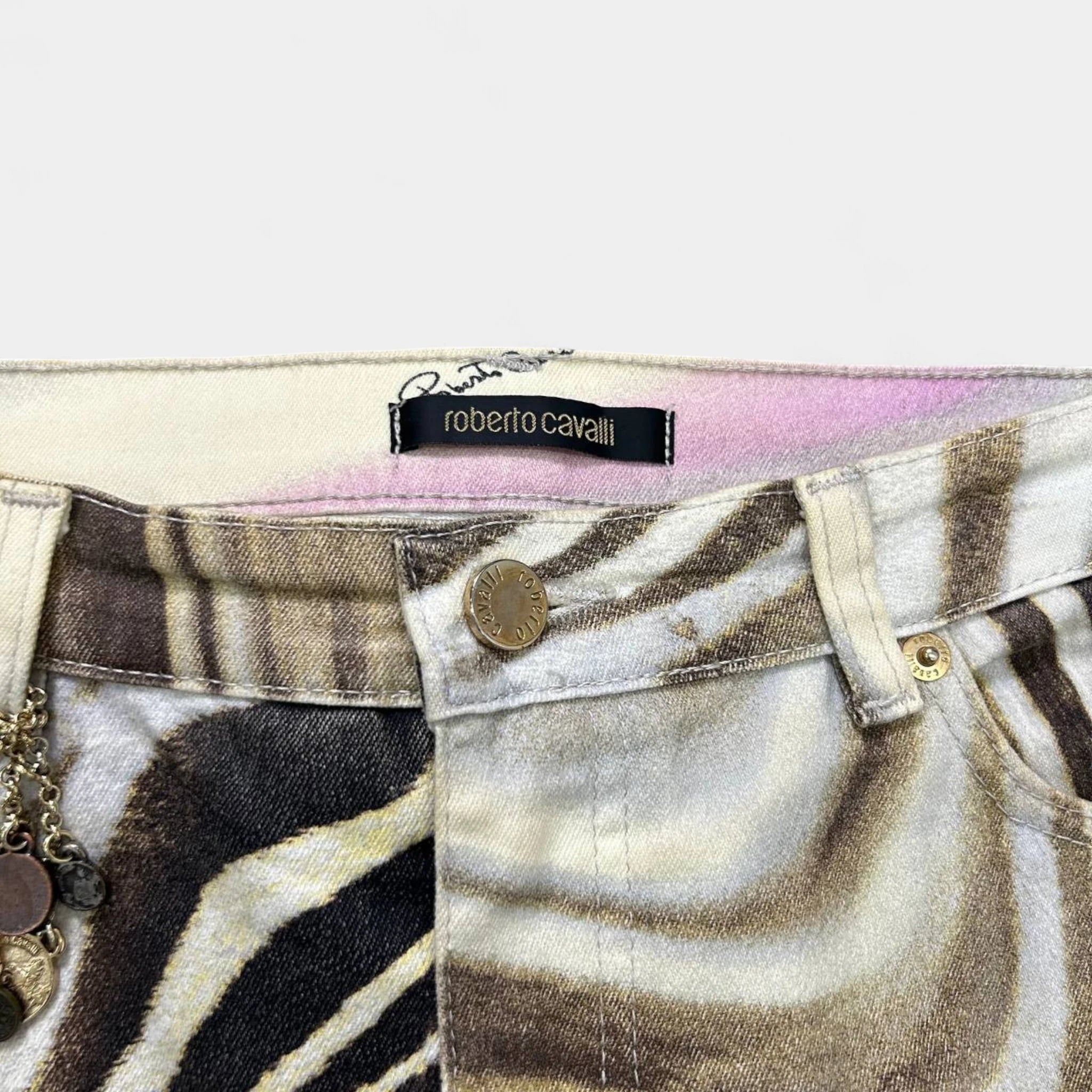 Roberto Cavalli 2000s Psychedelic Zebra Print Pants
