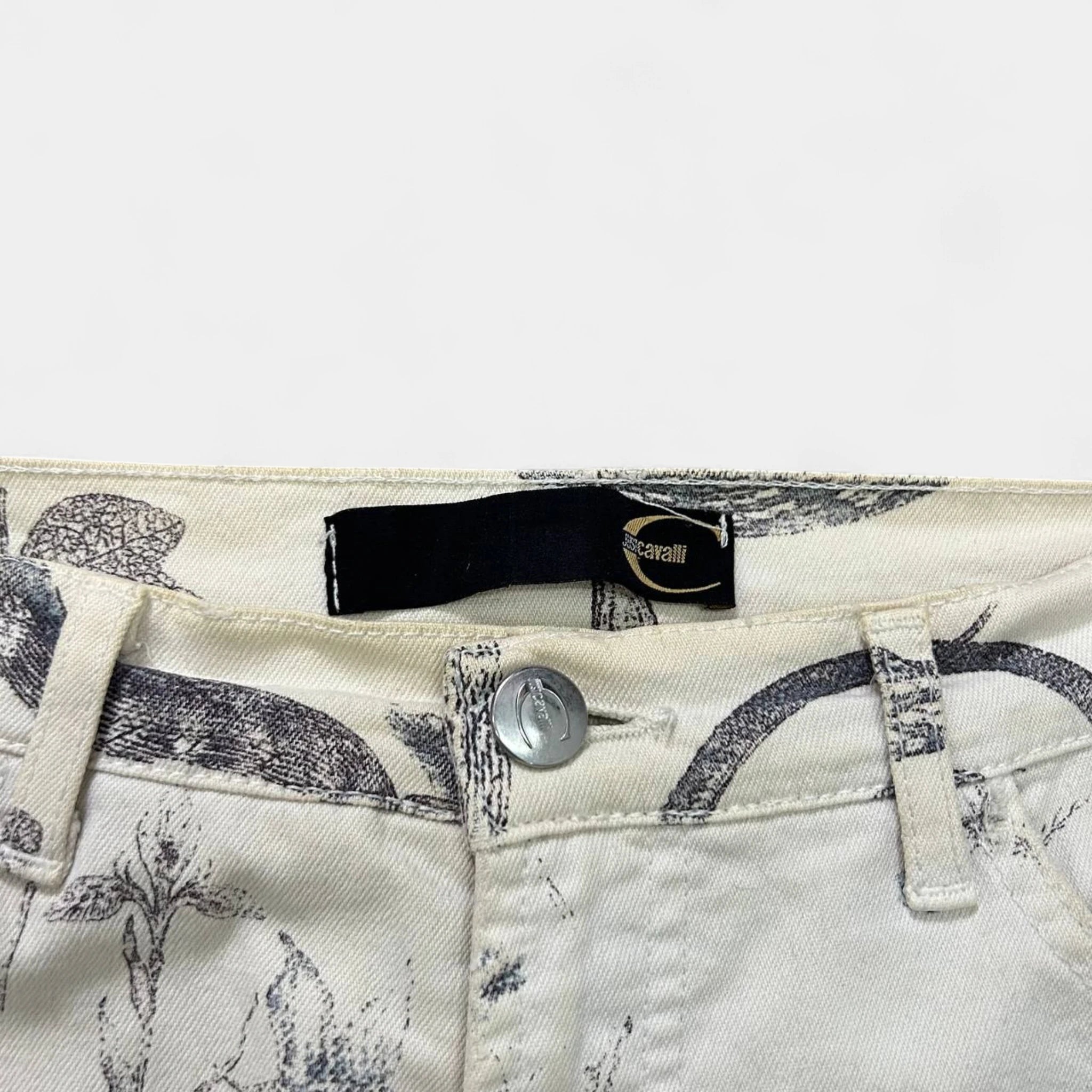Just Cavalli SS04 Serpent Botanical Print Flare Jeans