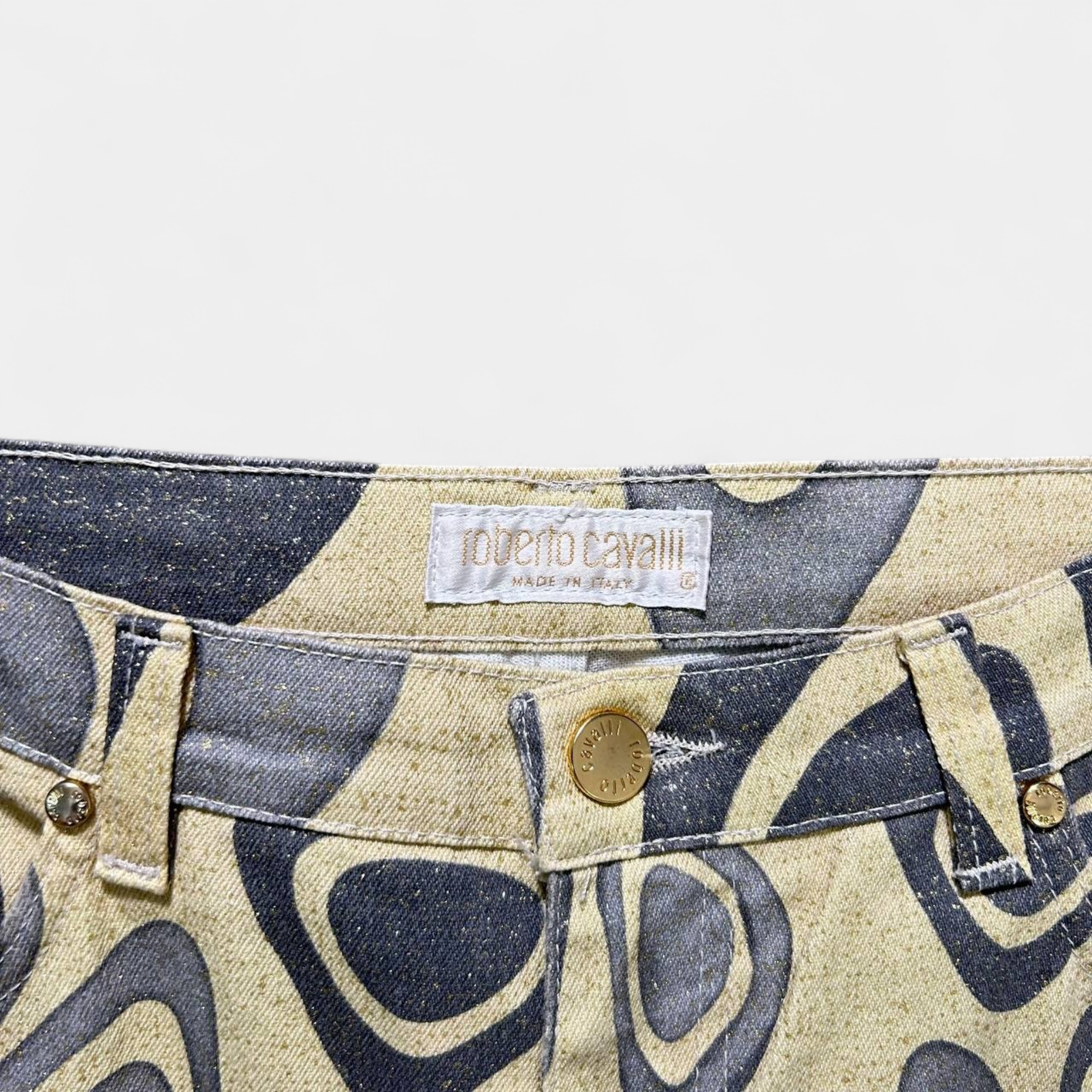 Roberto Cavalli Shiny Graphic Pants