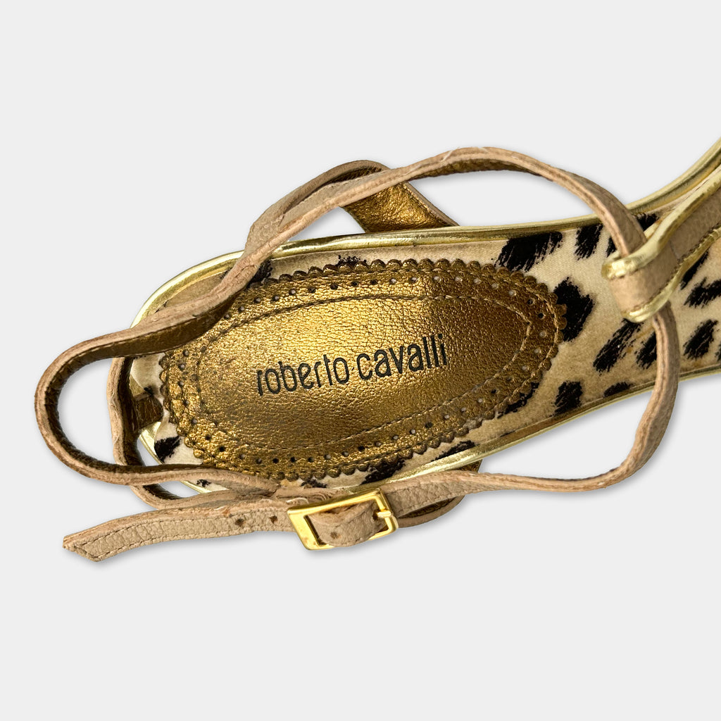 A close-up view of a leather shoe with a gold buckle and a leopard print pattern.