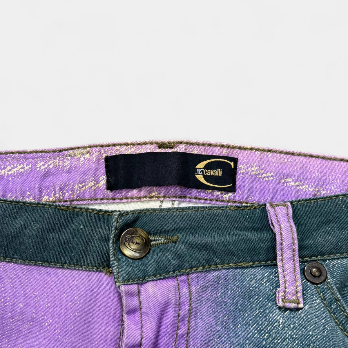 Just Cavalli 2000s Lilac and Green Gradient with Gold Paint Pants - detail 3