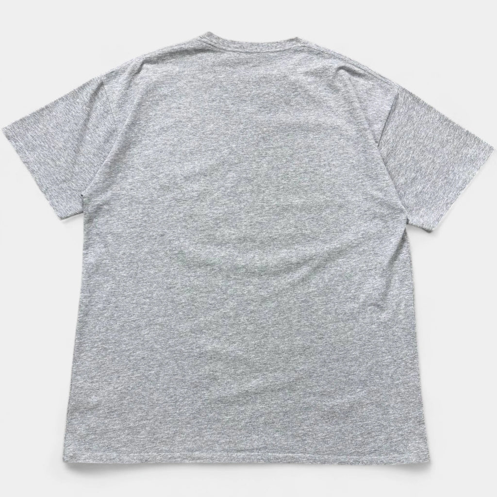 Raf Simons Autumn/Winter 2018 LSD XTC Graphic Grey T-Shirt